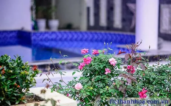 Villa Sao Biển SB56